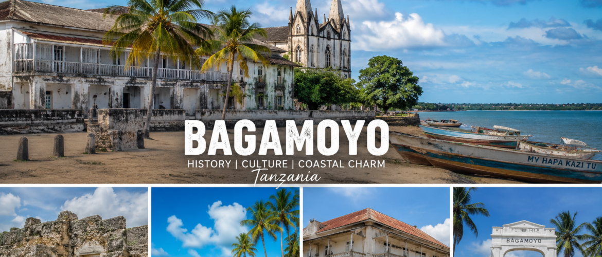 Family Ties Inn - Things to Do in Bagamoyo Tanzania – 15 Best Places(2026) Things to do in Bagamoyo Tanzania including beaches, Kaole Ruins, and historical sites
